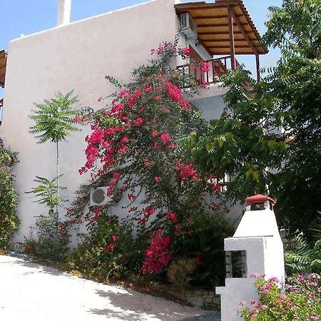 123 Soleil Studios Agia Marina  Dış mekan fotoğraf