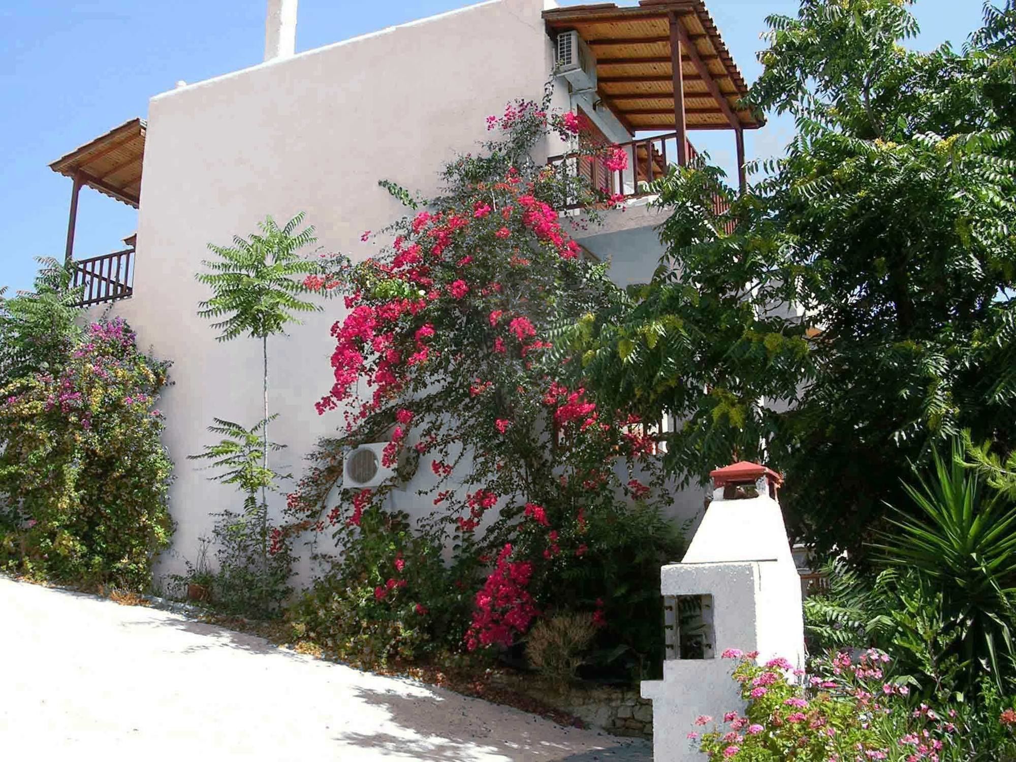 123 Soleil Studios Agia Marina  Dış mekan fotoğraf